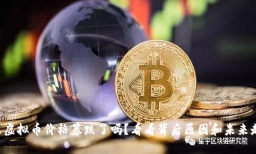 昨天虚拟币价格暴跌了吗？看看背后原因和未来走势！