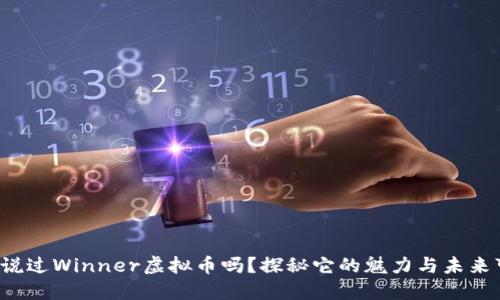 你听说过Winner虚拟币吗？探秘它的魅力与未来可能！