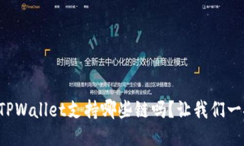 你知道TPWallet支持哪些链吗？让我们一探究竟！