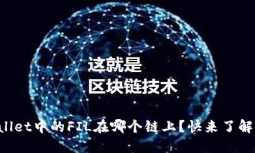 TPWallet中的FIL在哪个链上？快来了解一下！