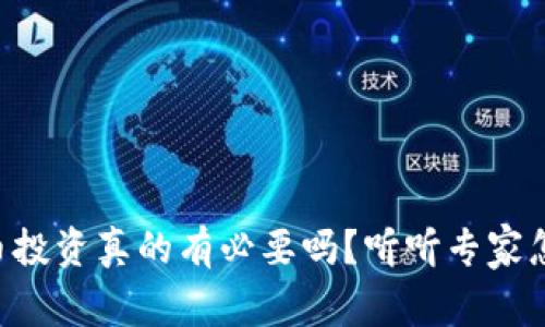 虚拟币投资真的有必要吗？听听专家怎么说！