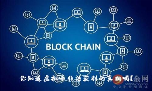 你知道虚拟币非法获利的真相吗？