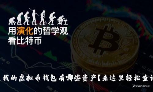 想知道我的虚拟币钱包有哪些资产？来这里轻松查询持仓！
