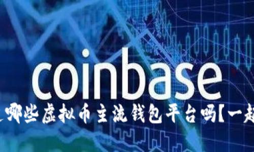 你知道哪些虚拟币主流钱包平台吗？一起看看！