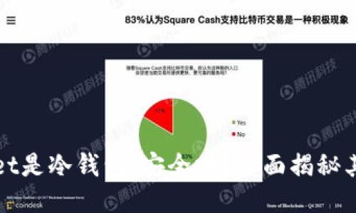 TPWallet是冷钱包，安全吗？全面揭秘其安全性