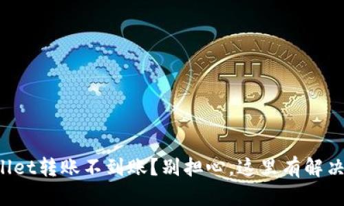 TPWallet转账不到账？别担心，这里有解决办法！