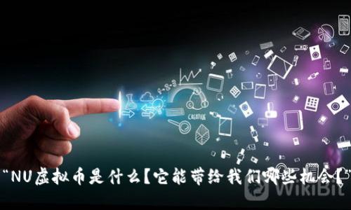“NU虚拟币是什么？它能带给我们哪些机会？”