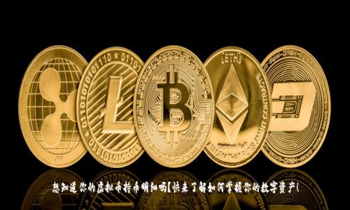 想知道你的虚拟币持币明细吗？快来了解如何掌握你的数字资产！
