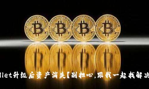 TPWallet升级后资产消失？别担心，跟我一起找解决办法！