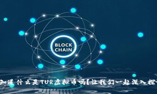 你知道什么是TUR虚拟币吗？让我们一起深入探讨！