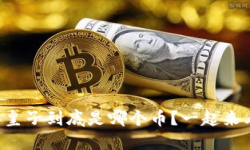 虚拟币皇子到底是哪个币？一起来看看吧！