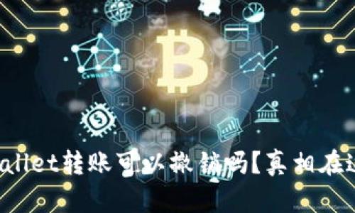 TPWallet转账可以撤销吗？真相在这里！