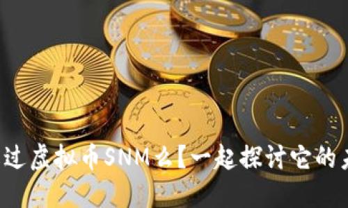 你了解过虚拟币SNM么？一起探讨它的未来吧！