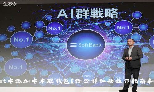 怎么在TPWallet中添加中本聪钱包？给你详细的操作指南和贴心的小建议！