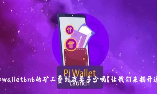 你知道tpwalletbnb的矿工费到底要多少吗？让我们来揭开这个谜团！