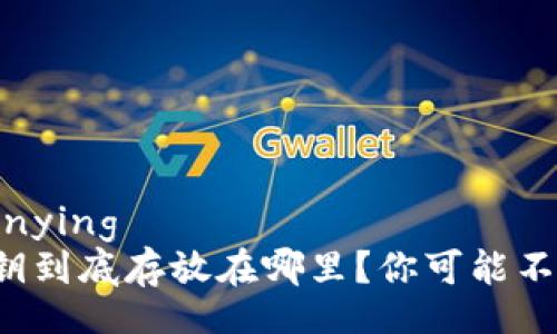yunying/yunying
tpwallet私钥到底存放在哪里？你可能不知道的秘密！