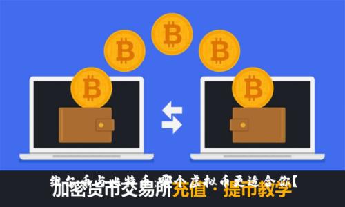 维尔币与比特币：哪个虚拟币更适合你？