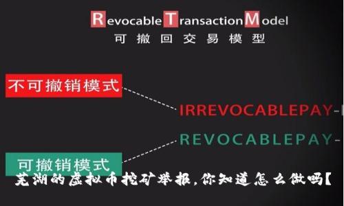 芜湖的虚拟币挖矿举报，你知道怎么做吗？