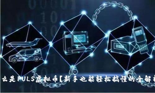 什么是PULS虚拟币？新手也能轻松搞懂的全解析！
