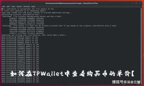 如何在TPWallet中查看购买币的单价？