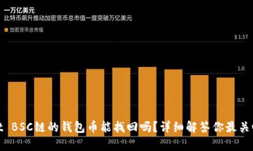 tpwallet BSC链的钱包币能找回吗？详细解答你最关心的问题