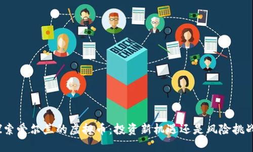 探索爱尔兰的虚拟币：投资新机遇还是风险挑战？
