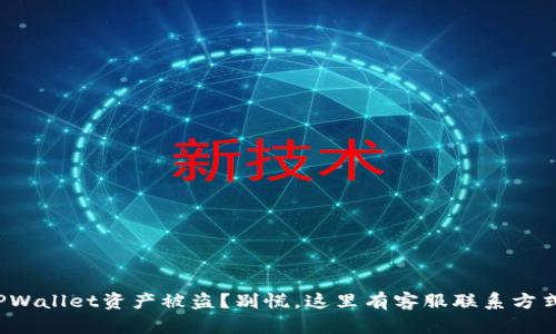TPWallet资产被盗？别慌，这里有客服联系方式！
