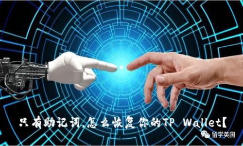 只有助记词，怎么恢复你的TP Wallet？