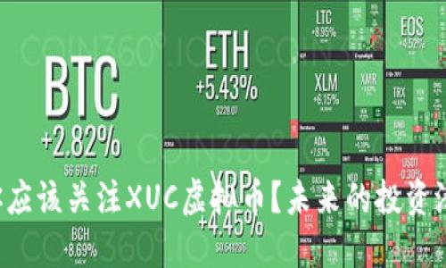 为什么你应该关注XUC虚拟币？未来的投资潜力大吗？