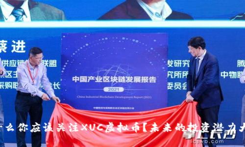 为什么你应该关注XUC虚拟币？未来的投资潜力大吗？