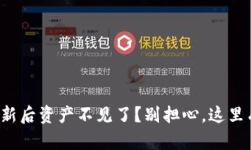 tpwallet更新后资产不见了？别担心，这里有解决方法！