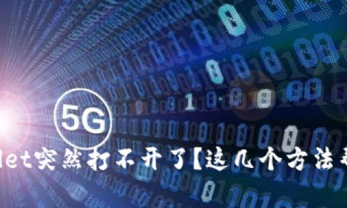 为什么tpwallet突然打不开了？这几个方法帮你解决问题！