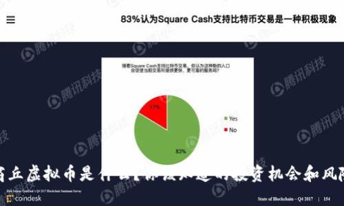 商丘虚拟币是什么？你该知道的投资机会和风险