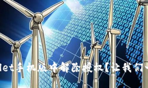 如何在TPWallet手机版中解除授权？让我们一起来看看吧！