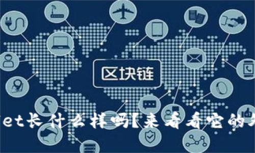 你知道tpwallet长什么样吗？来看看它的外观与功能吧！