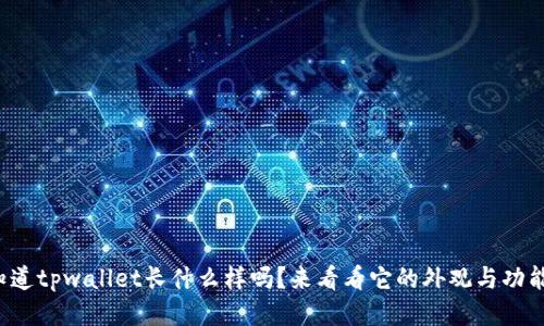 你知道tpwallet长什么样吗？来看看它的外观与功能吧！