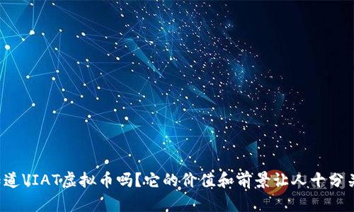你知道VIAT虚拟币吗？它的价值和前景让人十分关注！