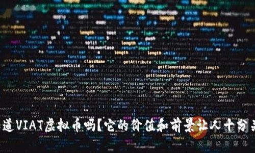 你知道VIAT虚拟币吗？它的价值和前景让人十分关注！
